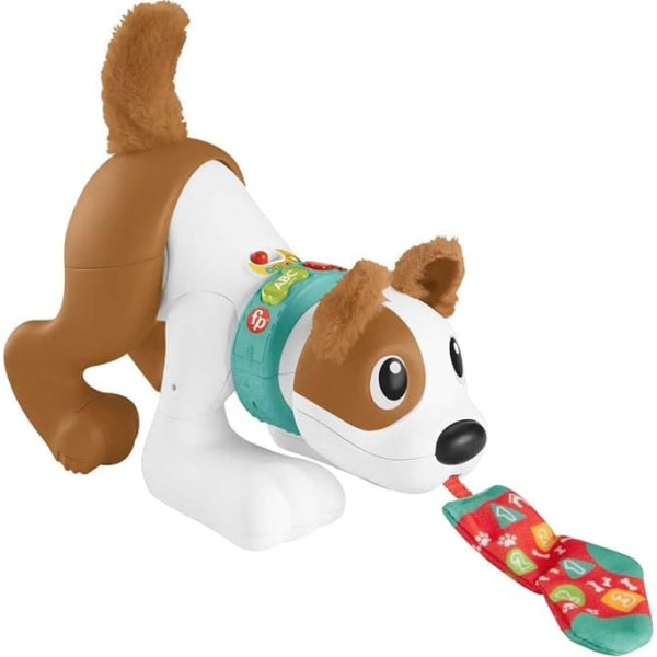 Fisher-Price 123 Crawl with Me Puppy