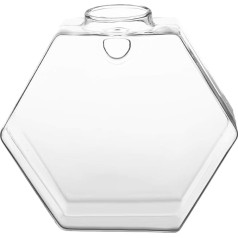 Hztyyier Glass Wall Hanging Vase, Transparent, Pack of 6, Garden Wall Decoration for Wall, Backyard, for Sticky Hanging Terrariums (Hexagon)
