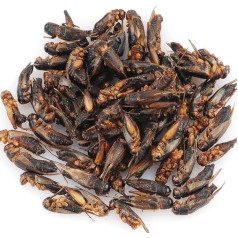 The Aqua Shack | Natural Dried Crickets Treats for Rats, Sugar Gliders, Hedgehogs, Birds (250g)