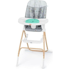 Bright Starts Disney Winnie the Pooh Handy Folding Highchair, Food-Grade Plate, 5 Point Harness, for Children from 6 Months, Unisex - Classic Pals Designs