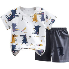 Unisex Children's Clothing Set - Summer Clothing 2-Piece Outfit 3D Printed T-Shirt and High Waist Shorts Long Sleeve Shirt Braces Trousers Loungewear Children's Clothing for 2-8 Years