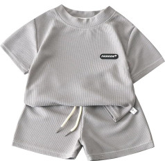 Children's Boys' Clothing Set - Summer Casual Two Piece Outfit Soft Cotton Blend Short Sports T-Shirt and Shorts Set Sports Tops Sports Trousers Top with Shorts for 2-8 Years