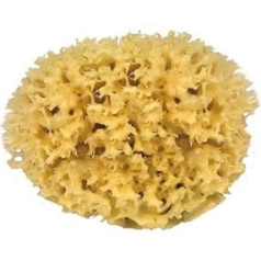Croll & amp; Denecke Naturschwamm M 220