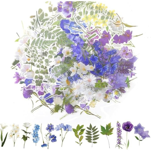 PET Stickers Photo Album Scrapbook Stickers Aesthetic Sticker Photo Album Sticker Flowers Sticker Flowers Waterproof for Journaling Accessories Scrapbook Sticker Notebook Case Pack of 12