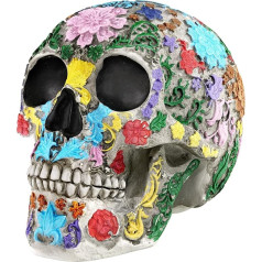 Readaeer Human Skull Model Skull Model