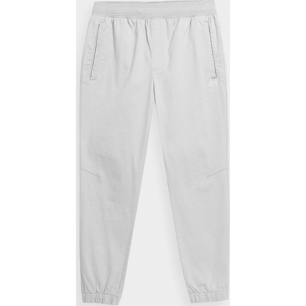 Bikses SS23TTROM154 25S / pelēkas / XXL