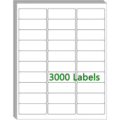 30 UP Labels 1 x 2.5 Inch Shipping Address FBA Labels for Laser/Inkjet Printer, White Blank Sticker Name Tags, Printable Label for 5160 Printers, (100 Sheets, 3,000 Pieces) Labels)