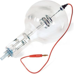 3B Scientific U18558 Gastriode S with Ne-Filling