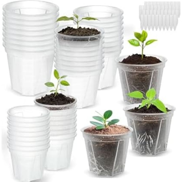 40 transparente Pflanztöpfe mit Drainage, für den Garten, mit 40 Pflanzenetiketten für Setzlingpflanzen, Pflanzentöpfe für drinnen und draußen, 3 Größen, 9,9 cm/11,9 cm/14 cm