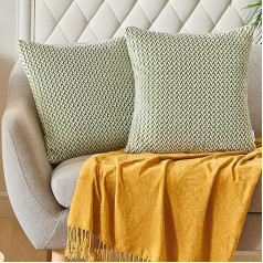 Pauleon 18 x 18 Cushion Covers Set of 2 - White and Green Throw Cushion Covers, Jacquard Square Cushion Cover for Couch, Sofa, Living Room