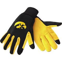 Iowa Hawkeyes Color Texting Handschuhe
