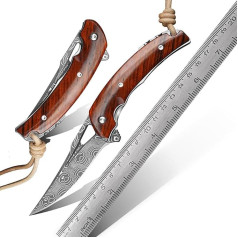 TABKER VG10 Damascus Steel Portable Folding Knife for Mountain Climbing Camping Wild Survival Can Be Used as a Gift