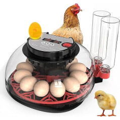 Fully Automatic Incubator for Chickens with Egg Turner, Automatic LED Lighting, Moisture Control and Temperature Monitor for 12 Eggs