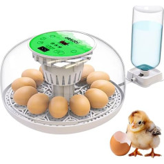 Incubator for Eggs, Incubator Fully Automatic with Eggs, Turning Eggs, Temperature & Humidity Control, Incubator Fully Automatic 12-24 Eggs, Transparent 360° Lid, White and Green