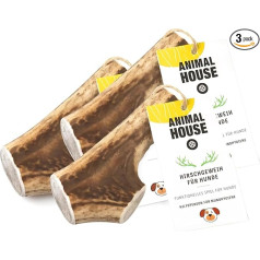 Animal House Pack of 3 Whole Deer Antlers for Dogs, 100% Natural Chew Toy, Strengthens Oral Hygiene, Resistant and Durable, Available in All Sizes (3, L)