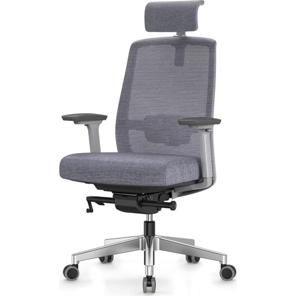 Duwinson Ergonomic Office Chair with 4-Way Adjustable Armrest, Desk Chair Mesh Back Support, Height Adjustable Swivel Chair, Rocker Function, Adjustable Headrest and Padded Lumbar Support