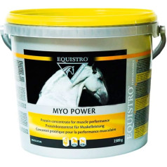 EQUISTRO® Myo Power Supplementary Feed for Horses Amino Acid Concentrate to Support Muscle Building Can Promote Endurance and Conditioning 2.3 kg