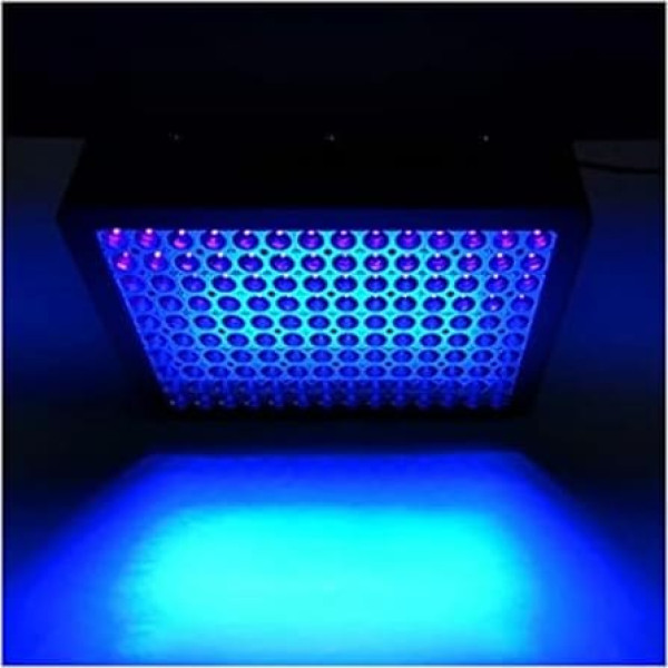UV Light Box, 3000 W Large Area UV Colloid Curing Lamp, Shadowless Lamp, UV Light, Shadowless Adhesive, Ink, Colour, Resin Film, 3D Printing, UV Resin Curing Lamp (395 nm)
