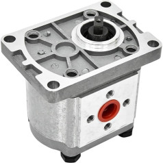 PFXNGMS CBN-E/F308-FBR CBN-E/F310-FBR Zahnradpumpe Ölpumpe Hydraulische Zahnradpumpe aus Aluminiumlegierung Hochdruck-Hydraulikölpumpe 20MPA Zahnradpumpen (CBN-E308-FBR)