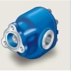 31230832070 Zahnradpumpe