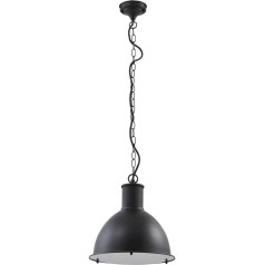 Lindby Luciane Outdoor Light (Splash-Proof in Black Aluminium (1 Bulb, E27) - Pendant Light Outdoor