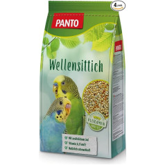 Panto Budgie 2.5 kg (Pack of 4 x 2.5 Kg