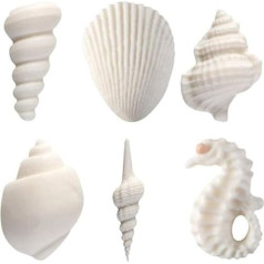 Coximus Sugar Shells Pack of 12 | 25-80 mm White Shells Assorted | Edible Maritime Cake Decorations Made of Sugar | for Birthdays, Celebrations, Weddings and Much More