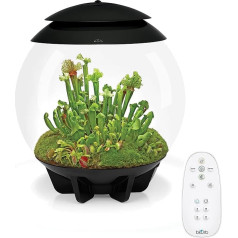 biOrb 72558 AIR 30 Black Terrarium with LED Lighting, Acrylic Basin for Plant Care, for Sensitive and Exotic Plants