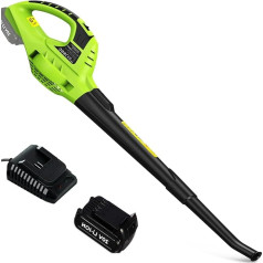 bigzzia Cordless Leaf Blower 20V Battery Operated Lightweight 1.5kg 209CFM Airflow 2 Removable Tubes Garden Blower for Leaf and Snow Clearing