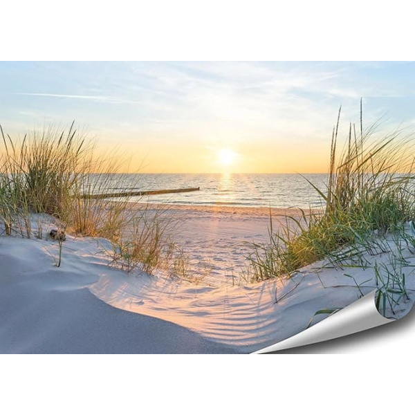 4FINO Sea Poster | Sunrise on the Beach | Dunes | Pictures Nature Photo | Decoration Living Room Bedroom Kitchen | Without Frame (Multicoloured, 100 cm x 70 cm)