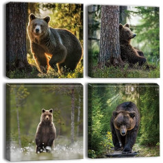 Artscope 4-Piece Canvas Pictures with Forest and Bear Motif, Art Print, Modern Wall Picture for Kitchen, Bathroom, Living Room, Wall Decoration, 30 x 30 cm