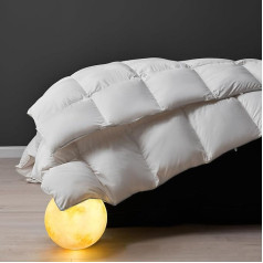 DWR All-Year Down Duvet 200 x 200 cm, Duvet Made of Goose Down and Feathers, Medium Warm Duvet, Soft Feather Duvet, Oeko-Tex & RDS Certified for Animal Welfare, (White, 1000 g)