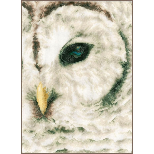 Lanarte Counted Cross Stitch Kit: Owl (Evenweave), NA, 19 x 26cm