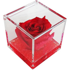 Real Red Rose Gift Party Thoughts Ceremony Hard Forever Stabilized Scented Cube 8x8x8 Plexiglass