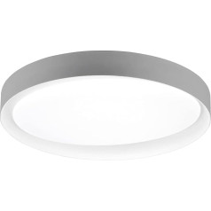 Reality Leuchten Zeta R62712411 LED Ceiling Light Plastic Grey or White with 24 Watt LED Remote Control