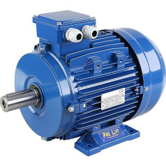 Pro-Lift-Werkzeuge 3-Phase Three-Phase Motor 5.5 kW 380 V Electric Motor 1450 rpm Industrial Motor Electric Motor B3 Three-Current 5500W 400V/690V