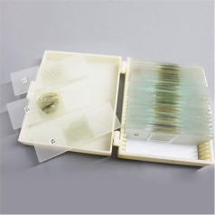 Microscope Accessories 24 Pack Microscope Prepared Rock Sample Morphology Disc Rock Sample Disc Microscope Slides for Polarizing Microscopes Durability and Reliable