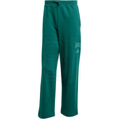 Bikses Collegiate M JM9178 / XL