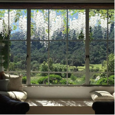 ChicSkin Window Pictures Repeatable, White Wisteria Flowers Window Pictures Spring, Collision Avoidance Window Sticker Bird Protection, Living Room, Bedroom, Bathroom, Kitchen Window Decoration