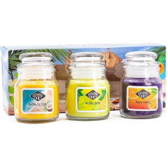 Candle-Brothers Scented Candle Set in Glass with Lid, Beach Bar, 3 Scented Candles as Gift Set, Small Scented Candles (Coconut, Lemon and Tequila Sunrise), Gift Set for Mother's Day