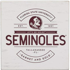 Open Road Brands Florida State University Seminoles Wooden Wall Art