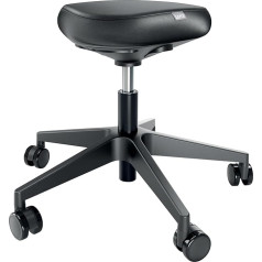 Leitz Ergo 65780095 Height-Adjustable Stool (46-59 cm) with Wheels, Office Stool with Seat Cushion, Ergonomic Swivel Stool for Home, Office, Leisure and Hobby, Ergo Series, Black