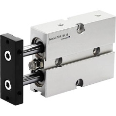 TN10 TDA10 Doppeltwirkender Pneumatischer Luftzylinder, Bohrung 20 mm, Doppelstangenzylinder TN10-20 TN10-30 TN10-40 TN10-50 TN10-100 TN10-300, 1 Stück(TN10-300)