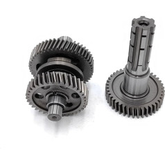 Vorwärts- und Rückwärtsgang-Set passend for 150CC Go Kart Dune Buggy mittlere Ausgangswelle Zubehör(Gear Set)
