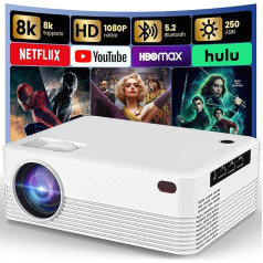 F22-QQZ Videoprojektor