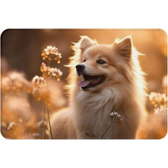 HDSKFNS Fußmatte mit Hunde-Blumendruck, Eingangsmatte für Veranda, Badezimmer, Waschküche, Dekoration, Bodenteppich