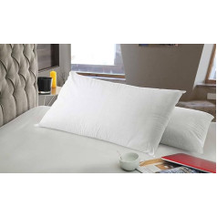 Talamo Italia Set of 2 Pillows, Made in Italy, Removable Perforated Memory Foam Pillowcase, Hypoallergenic and Breathable, 71 x 41 x 15 cm