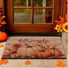 Lanpn Autumn Doormat, Pumpkin Coconut Mat, Non-Slip Thanksgiving Door Mat for Front Door, 42 x 75 cm, Coconut Dirt Trapper Mat, Indoor Door Mat, Outdoor, Washable, Entrance Area Mat, Hello Pumpkin