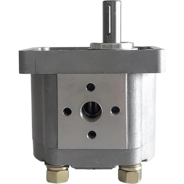 Gear Pump Gear Pump Hydraulic Oil Pump CBW-F310 CBW-F314 CBW-F316 CBW-F320 CBW-F306 KIRANDY (Size : CBW-F316_Single Key 16mm)