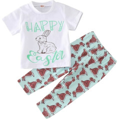 Baby Clothing Warm Toddler Boys Easter Cartoon Short Sleeve Rabbit Prints Tops Trousers 2 Pieces Outfits Clothing Set for Babies Clothing Children's Suit Boys 92 (Blue, 18-24 Months)